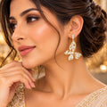 Lavaya Premium Gold-Tone Crystal Butterfly Drop Earrings for Women – Elegant Sparkling Stone-Studded Butterfly Design Statement Jewellery for Parties & Special Occasions. NO PRICE